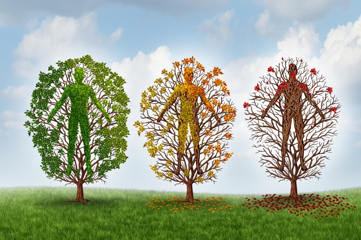 Den åldrande helheten