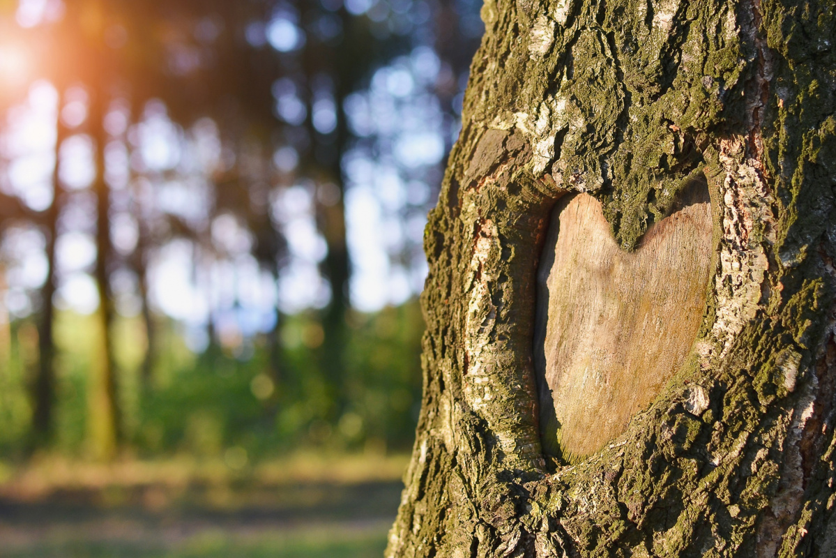 Bara väldigt mänsklig